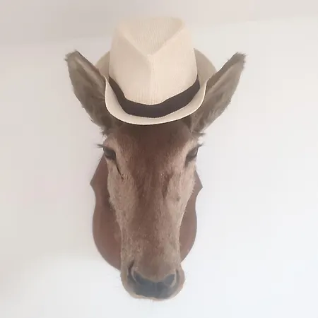 Apartman Exceptionnel Bastide St Louis